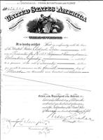 Pg.20