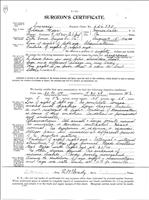 Pg.41