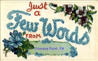 FewWordsStevensPointPC