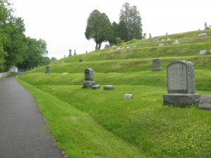Lanesboro Cemetery Section 3