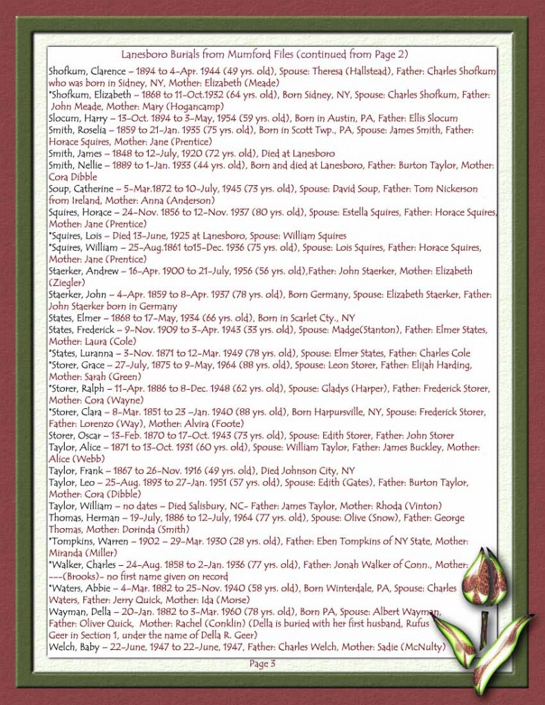 Lanesboro Stevens Point, PA